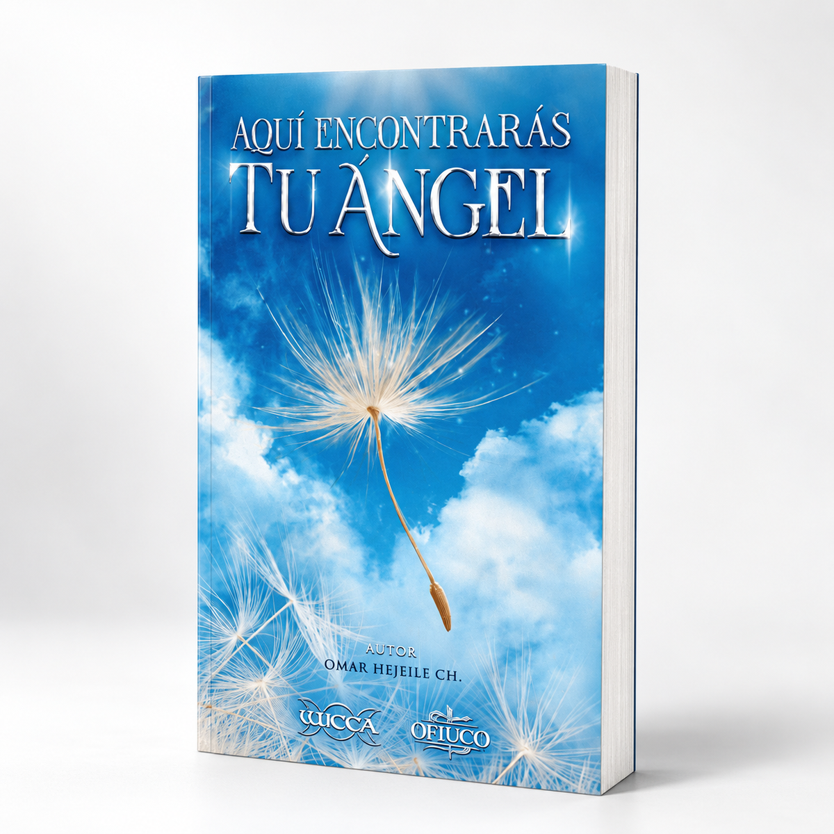 Aquí Encontrarás Tu Ángel | Guía Espiritual